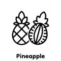 Pineapple linear icon, Vector, Illustration.