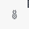 Pineapple, linear style sign for mobile concept and web design