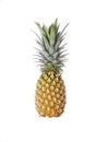 Pineapple local fruit Royalty Free Stock Photo
