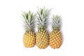 Pineapple local fruit Royalty Free Stock Photo