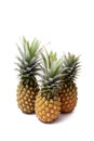 Pineapple local fruit Royalty Free Stock Photo