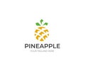 Pineapple Logo Template. Abstract Fruit Vector Design