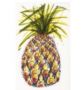 Pineapple magic color painting the pattern of fruit Royalty Free Stock Photo