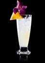 Pineapple Malibu Cocktail