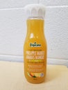 Pineapple Mango Juice Royalty Free Stock Photo