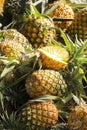 pineapple in market