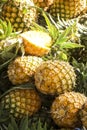 pineapple in market