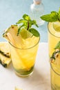 Pineapple mojito with muddled mint and lime with a sugar cane stick Royalty Free Stock Photo