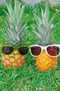 Pineapple mood. Two pineapples in sunglasses on the background of green grass. Royalty Free Stock Photo