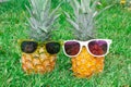 Pineapple mood. Two pineapples in sunglasses on the background of green grass. Royalty Free Stock Photo