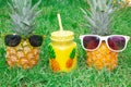 Pineapple mood. Two pineapple in sunglasses and a mug of juice. Royalty Free Stock Photo