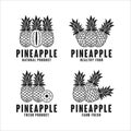 Pineapple natual product logo Collection Royalty Free Stock Photo