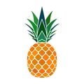 Pineapple orange icon