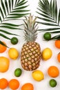 Pineapple, orange, lemon, grapefruit, lime, coconut and palm leaves on white background Royalty Free Stock Photo