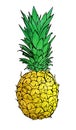 Pineapple painted