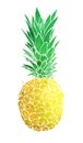 Pineapple painted