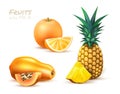 Pineapple papaya orange realistic exotic fruit set Royalty Free Stock Photo