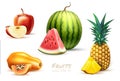 Pineapple papaya watermelon apple exotic fruit set Royalty Free Stock Photo