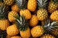 Pineapple Paradise: A Pile of Fresh Fruit, A Glimpse into Nature\'s Bountiful Harvest