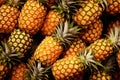 Pineapple Paradise: A Pile of Fresh Fruit, A Glimpse into Nature\'s Bountiful Harvest