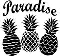 Pineapple paradise set of pineapples