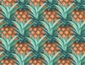 Pineapple pattern. Vector seamless texture. Royalty Free Stock Photo