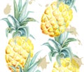 Pineapple pattern Vector watercolor. Tropic fruits with glitter on white background. Label artistic exotic illustrations