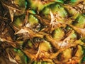 Pineapple peel at close range Royalty Free Stock Photo