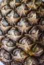 Pineapple  peel close up. Texture Royalty Free Stock Photo