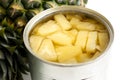 Pineapple pieces in tin on white.