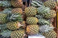 Pineapple Royalty Free Stock Photo