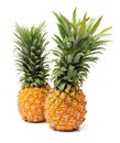 Pineapple Royalty Free Stock Photo