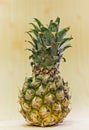 The pineapple is placed vertically, backdroup is a wooden floor blackwood.