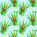 Pineapple plant with fruit and bright yellow inscription, soft blue background