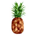 Polygon brown pineapple vith leaves