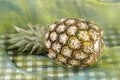 Pineapple - Popart