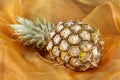 Pineapple - Popart