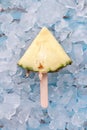 Pineapple popsicle yummy fresh summer fruit sweet dessert wood teak Royalty Free Stock Photo