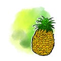 Pineapple Poster Design Background.
