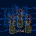 Pineapple poster, vector illustration. Hand drawn exotic tropical fruit in outline. Aloha means Hello in Hawaii