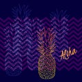 Pineapple poster, vector illustration. Hand drawn exotic tropical fruit in outline. Aloha means Hello in Hawaii