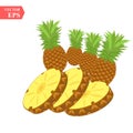 Pineapple realistic fruit with slice. Vector illustration. ananas ripe tropical exotic Juicy fresh food, vitamin healthy dieting. Royalty Free Stock Photo