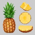 Pineapple realistic. Healthy exotic tropical natural fruit slice pineapple vitamin vegetarian food decent vector closeup Royalty Free Stock Photo