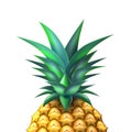 Pineapple realistic summer exotic fruit closeup Royalty Free Stock Photo