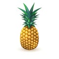 Pineapple realistic summer exotic fruit isolated Royalty Free Stock Photo
