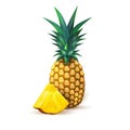 Pineapple realistic summer exotic fruit slice Royalty Free Stock Photo