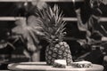 Pineapple ripe fruit in the garden