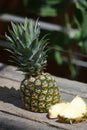 Pineapple ripe fruit in the garden