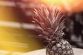 Pineapple ripe fruit in the garden Royalty Free Stock Photo
