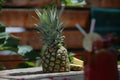 Pineapple ripe fruit in the garden